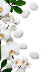 Delicate white flowers and smooth stones arranged against a black background, creating a serene and elegant composition. Png, Transparent background.