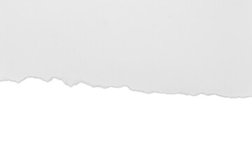Torn rip white paper with uneven texture edges.document or newspaper mockup. png illustration isolated.