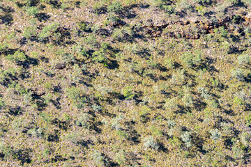 Outback Australia sparse bush vegetation on top of mesa landform of the Kimberleys