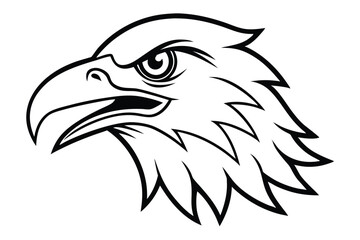 Obraz premium Fierce eagle head shows striking feathers and a powerful gaze in the clean outline