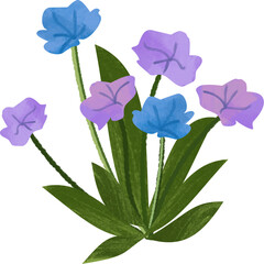 Cluster of Blue and Purple Flowers