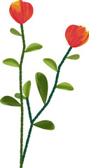 Two Red-Orange Flower Stems