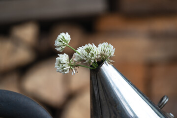 Delicate White Flowers Arranged in a Simple Metal Container