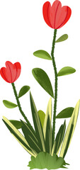 Red Flowers and Striped Leaves Plant