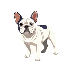 French Bulldog Vector Illustration