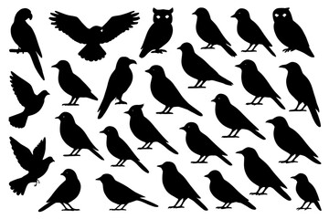 Silhouette collection of various bird species including owls and parrots