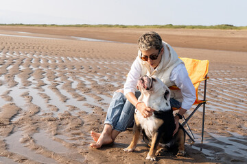 Dog and owner enjoy quality time together on a sandy beach during a sunny afternoon, with soft waves in the background and the sun shining brightly