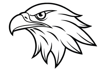 Detailed line drawing reveals the majestic eagle's strong head and determined, powerful gaze