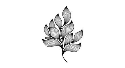 Elegant Monochrome Floral Illustration Delicate Leaves and Blossom Design