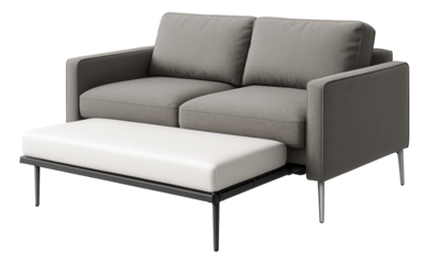 A convertible sleeper sofa, practical for a small urban apartment