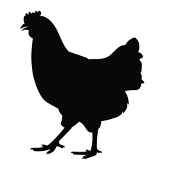 farm animal chicken side view, silhouette vector flat Illustration design on white background.