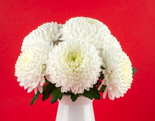 Decorative white chrysanthemum flowers in a white vase on a red background