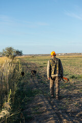 Mature man hunter with gun while walking on field.