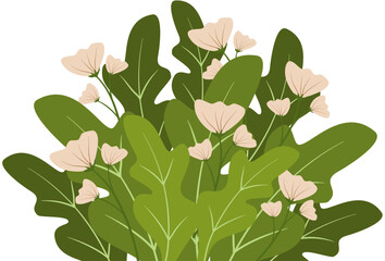 Grass Bush With Flower Illustration