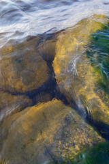 Clear lake water reveals golden submerged rocks and algae below the surface, with soft ripples creating a wavy, abstract effect.