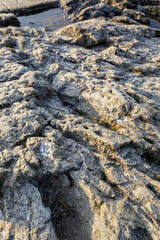 Detailed close-up of rugged, fractured rock with sharp textures and small crevices, lit by warm evening sunlight near water.