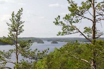 Obraz premium Picturesque forest lake with scattered islands, seen through the branches of pine trees on a clear summer day.