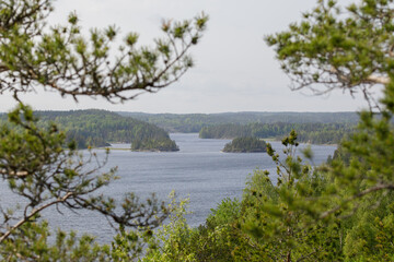 View of a peaceful lake with small forested islands, framed naturally by pine branches on a clear summer day.