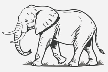 Fototapeta premium Line art depicts a massive elephant walking slowly across the ground in the sunlight