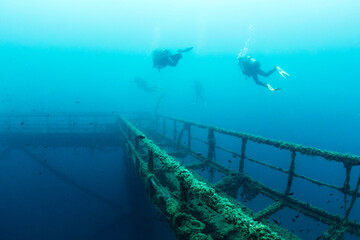 divers diving over the wreck of a structure submerged in the sea colonized by marine life, concept of scuba diving and underwater adventure, copy space for text