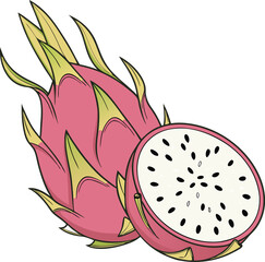 vector illustration of a dragon fruit design