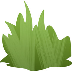 green grass or bush on isolated white