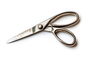 Fototapeta premium Pair of Vintage Kitchen Shears