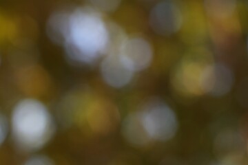 Abstract autumnal bokeh, capturing a dreamlike essence of fall colors