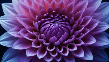A stunning close-up of a vibrant purple dahlia in full bloom.