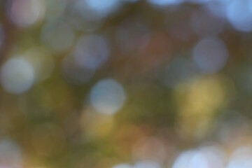 Soft and Serene Abstract Bokeh Background with Blurry Autumn Hues