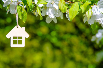 The symbol of the house among the branches of the pear
