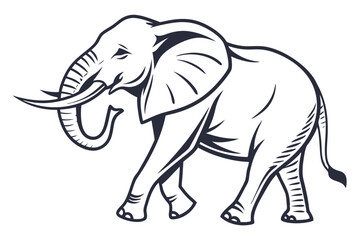 Obraz premium Bold monochrome shows a strong elephant standing forward with large ears and tusks