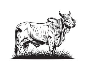 Vector of robust cow stands serenely on a patch of grass, depicting classic farm life and bovine tranquility.