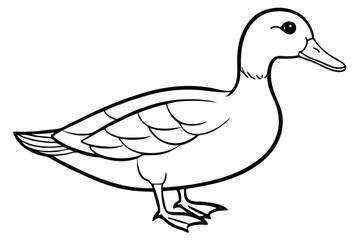 The detailed of a mallard duck displays intricate feather patterns across its body