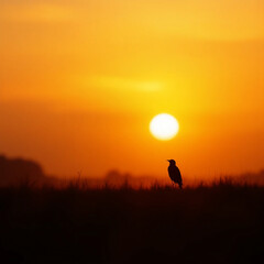 sunset in the mountains