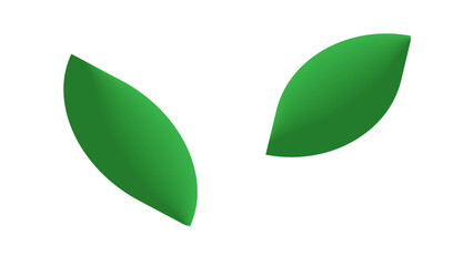 green leaf vector illustration