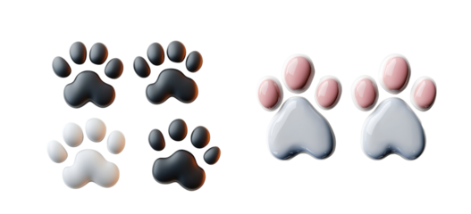 paw print on white background