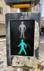 Pedestrian Traffic Light