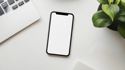 Modern smartphone with blank screen on white desk beside laptop and green plant