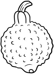 Green Hubbard Squash Vector Outline Line Art Drawing