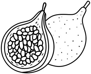 Granadilla Fruit Vector Outline Line Art Drawing