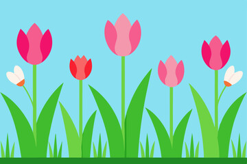 Pink and purple vector illustration of spring tulips blooming beautifully in a summer garden field