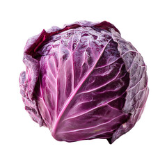 Obraz premium Fresh and vibrant red cabbage, showcasing its intricate layers and rich color