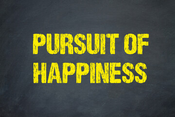 Pursuit of Happiness	
