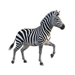 Fototapeta premium zebra isolated on white