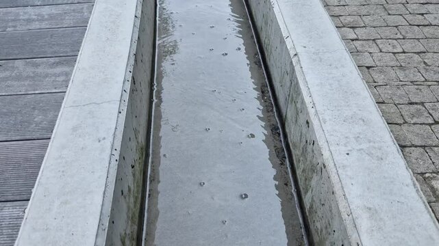 concrete gutter, irrigation channel, flower beds around smooth concrete wall with stream in the park in the yard of kindergarten. large leaves of hostas near the flowing water from a pump into pond