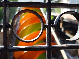 old metal door