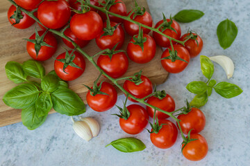 Fresh cherry tomatoes on the vine with green basil leaves and garlic cloves on light background, symbol of Italian cuisine and healthy organic diet. Farm produce and Mediterranean cooking
