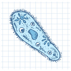 Hand drawn vintage sketch of single paramecium microorganism in blue color on grid notebook background, vector illustration