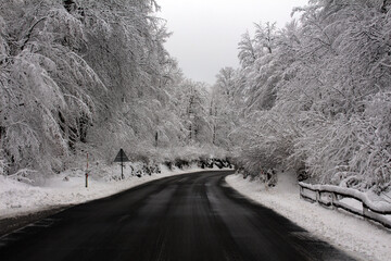 Asphalt road winds through a dense forest with trees and branches heavily covered in snow, creating...